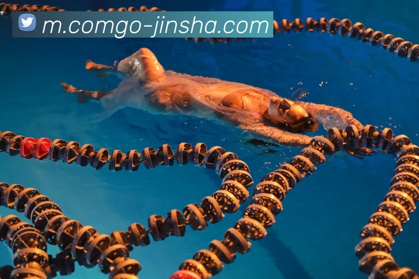 金沙国际服务体系